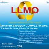 LLMO